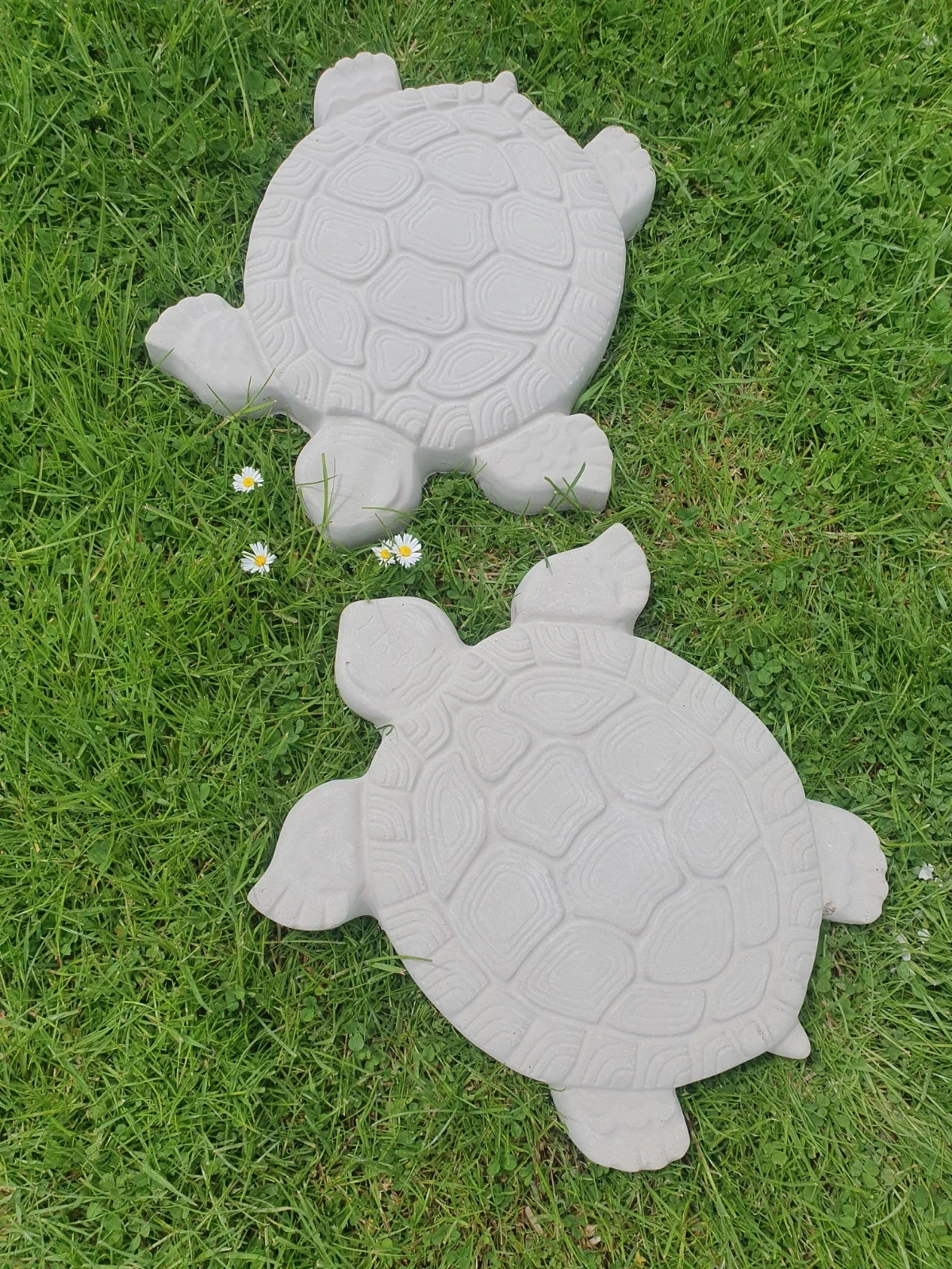 Lot x 2 new turtle decoration – photo 2